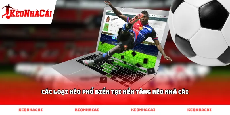 cac loai keo pho bien tai nen tang keo nha cai Các loại kèo phổ biến tại nền tảng kèo nhà cái