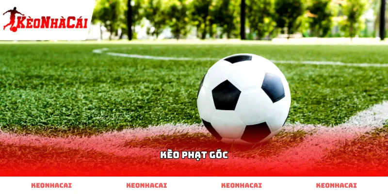 Theo dõi diễn biến Kèo Phạt Góc trực tiếp